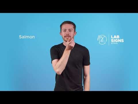 How to sign "salmon" | ASL signs for science terms