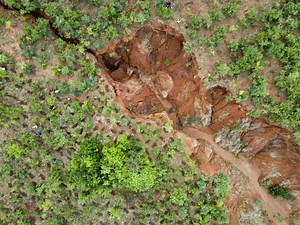 Planting indigenous Trees - Wells for Zoë