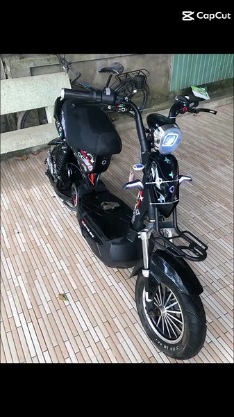 Cọp Siêu Nét Combo 2K5 Đúc 7B Lớn