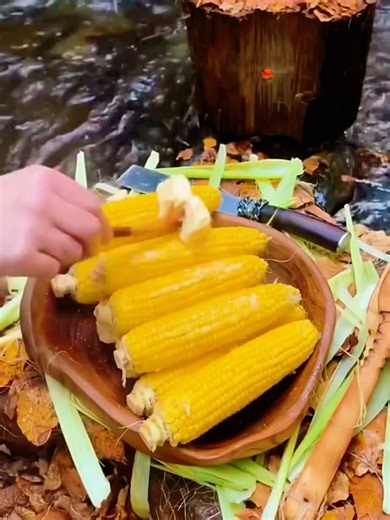 “Camping Cooking Experience 🔥🏕️🌽 with Nature’s Beauty” #creatorsearchinsights #corn #cooking #asmr #fyp Cooking TikTok Video Home Cooking Cooking Food Videos Cooking Foods Cooking Recipes Spicy Food Food Videos Food Eating Cooking Food Eating Video Food Eating Videos Eating Food quick recipe easy dinner step by step 5-minute meal budget meals meal prep tasty cafe-style family favorite vegan/healthy Quick & easy recipes ASMR cooking Before-after cooking transitions Chaos cooking” fun-style con