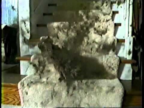Cat Shedding Commercial Remix (old school) video