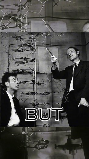 The Unsung Hero - Rosalind Franklin