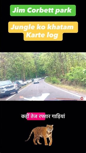 Corbett's peace is over.🙏 📵🐅📍#jimcorbett #shortsfeed #safari #jimcorbettsafari #wildlife #discovery