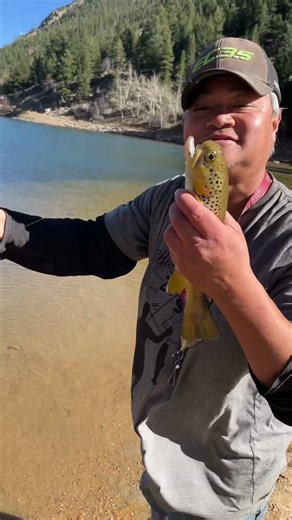 Alien Brown Trout: I Caught A Fish That Is Out Of This World: Georgetown Lake In Colorado: #fishing