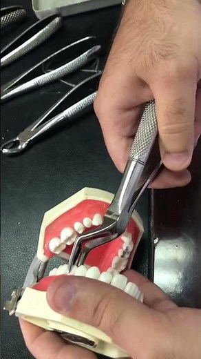 Extraction forcep for the upper retained root