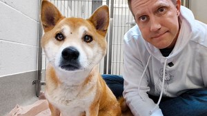 Watch the moment this Strong-Willed dog asks for help 🥹 (heartwarming ❤️) | Rocky Kanaka