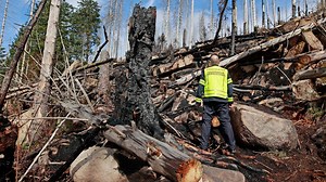 Feuer aus! Waldbrand im Harz am Brocken ist endgültig gelöscht, die Ursache für das Feuer ist aber noch unklar