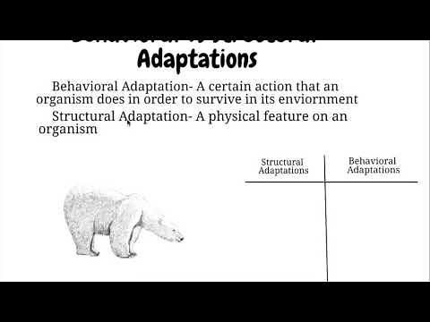 Structural and Behavioral Adaptations
