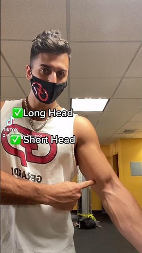 How to PROPERLY Perform Concentration Curls (For A Bigger Biceps Peak!)