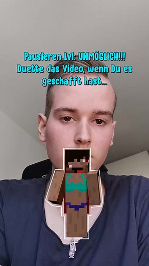 Ihr schafft es eh nicht😤😂 #fyp #challenge #memes #pausegame #minecraft #faluma #viral