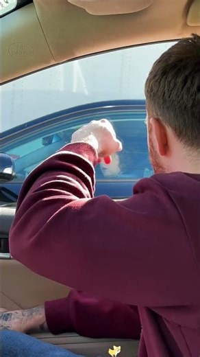 Stranger opens car window as a prank😂😂😂prank#prank #funny #funnyvideo