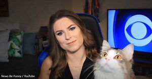 Hilarious Compilation Video Shows Cats Interrupting Work-From-Home News Reporters | GreaterGood