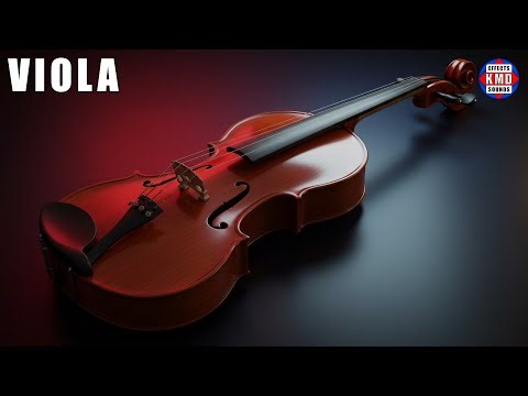 🎶 VIOLA SOUND - MUSICAL INSTRUMENT SOUNDS - The Best Sound Effects