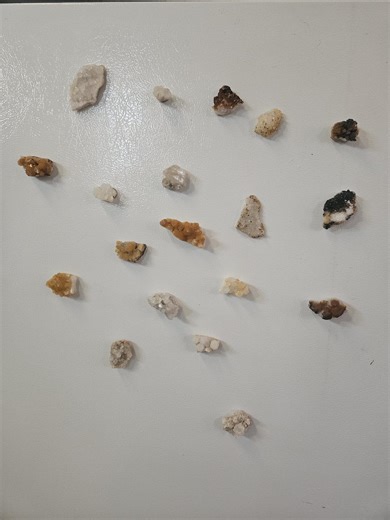 Quartz Crystal Magnets (Set of 3) - self collected from South Carolina