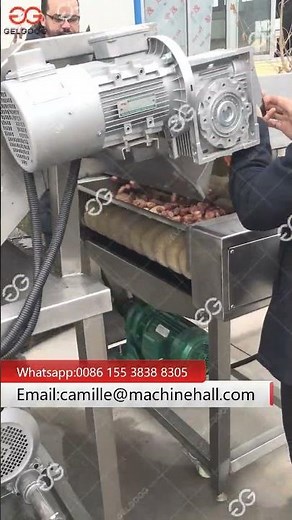 Automatic Dates Fruits Washing Cleaning Machine