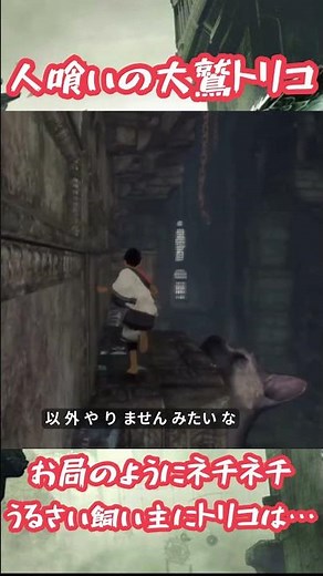 ネチネチうるさい飼い主にトリコは… #ゲーム実況 #人喰いの大鷲トリコ #実況