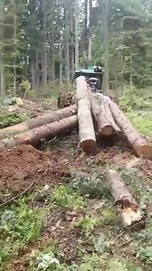 Video salje Timberjack 350 Vozač KREJA #TD | Traktori BIH-