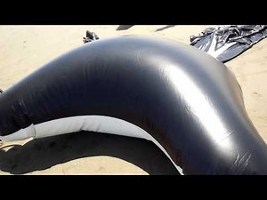 inflatable whale