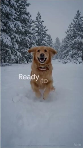 Use images to create social-ready, portrait videos with Veo 3.1 in Google Vids