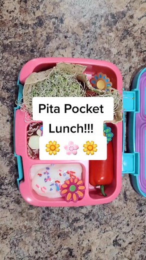 Creative Pita Pocket Lunch Ideas for Kids