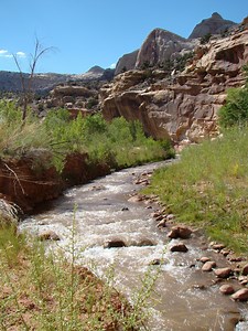 Desert Water - Capitol Reef National Park (U.S. National Park Service)