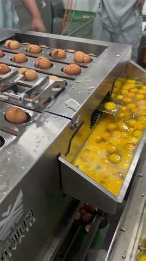 egg crack Egg-Cracking Machine.Egg Breaking &Processing Egg Cracking Machine Automated Egg Breaking