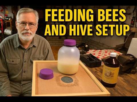 Feeding Bees and Hive Set Up