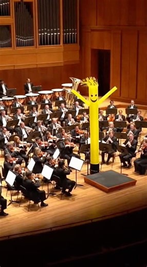 The Most Unqualified Conductor Ever 😭 #orchestra #humor