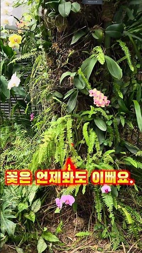 [서울] 마곡 서울식물원 Seoul Botanic Park