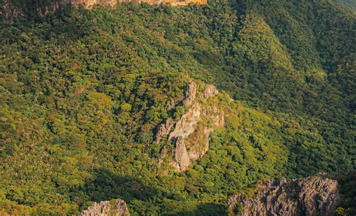 The Progress Network (@progressntwrk)