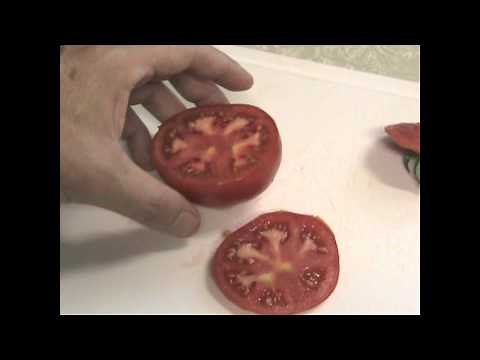 Boxcar Willie and Belgium Giant Taste Test!