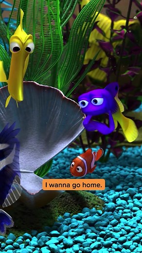 Nemo has my heart. #FindingNemo | finding nemo
