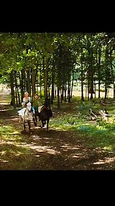 3.1K views · 162 reactions | CINDERELLA PART 5 | RANDOMvid | Facebook