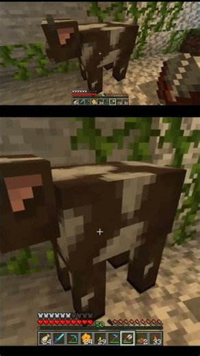 moove
