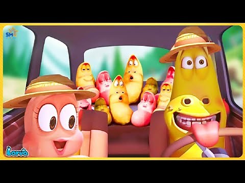 Larva Season 3 Episode 73 🍟Larva Cartoons | The BEST of Cartoon Box