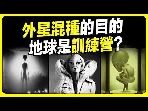 The True Purpose of the Alien Hybrid Experiment is Not What We Think: Hybrid Descendants Living A...