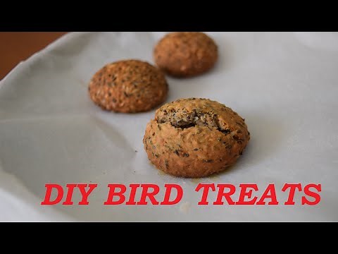 How To Make HEALTHY Homemade Bird Treats! DIY VERY EASY For All Birds