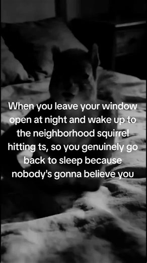 #fyp #viral #squirrels #meme