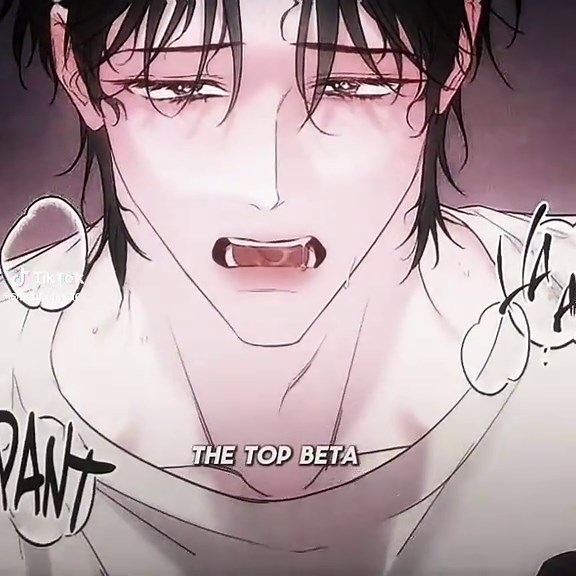 Exploring Omega x Alpha Relationships in Omegaverse