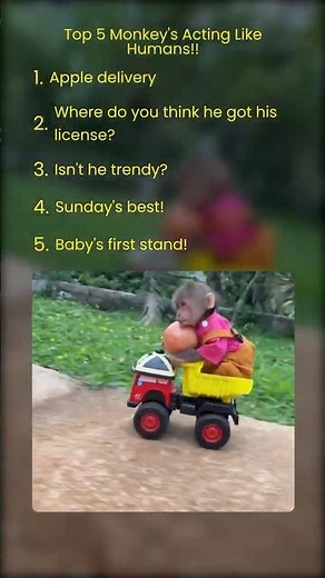 Top 5 Monkeys Acting Like Humans… #1 Is Unbelievable 🐒😱