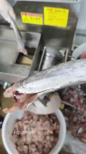 Innovative Fish Squeeze Machine for Seafood Preparation