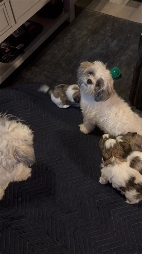 Jodi Yerkey on Reels