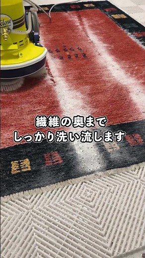 この黄色の機械いくら？絨毯クリーニングのプロ機材 #絨毯クリーニング #業務用機械 #カーペット洗浄 #価格クイズ #shorts