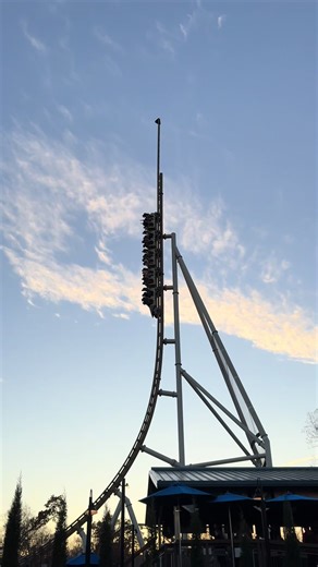Coaster Love Language at Busch Gardens Williamsburg