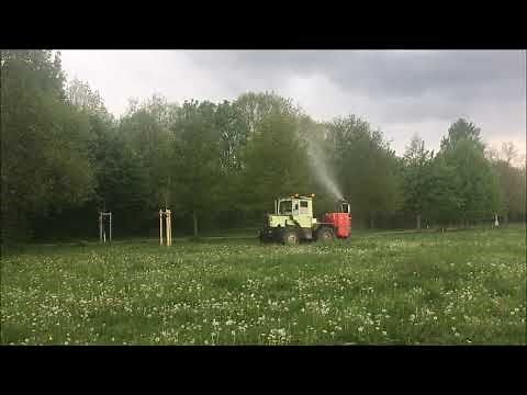 Bekämpfung des Eichenprozessionsspinner