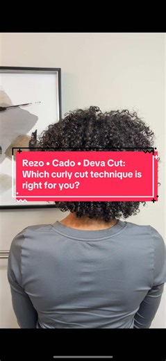 Rezo Cut, CADO Cut, and Deva Cut: Which curly cut technique is right for you? 🦋 There are MANY types of hair cutting techniques and curly cut shapes, here are my fav 3. . . . . . #rezocut #devacut #curlycut #haircuts #curlyhair