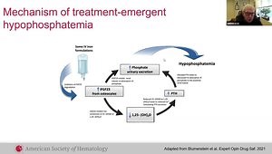 ASH 2023 Insights: "IV Iron Formulations - History, Safety and Administration"