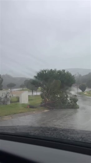 Honda HRC WorldSBK on Instagram: "Heading to the track for what was supposed to be a test day in Portimao… apparently the weather didn’t get the memo 🥶💨🌬️"
