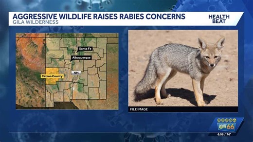 NM Department of Wildlife warns of aggressive wildlife behavior