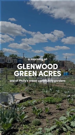 A Morning at Glenwood Green Acres